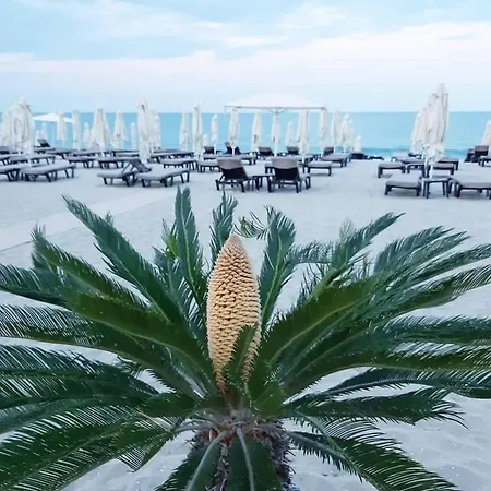 Amore Obzor Обзор