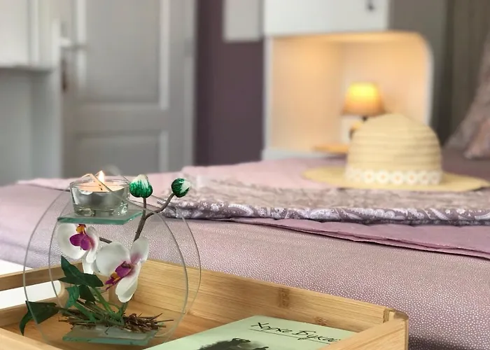 Amore Obzor * 오브조르