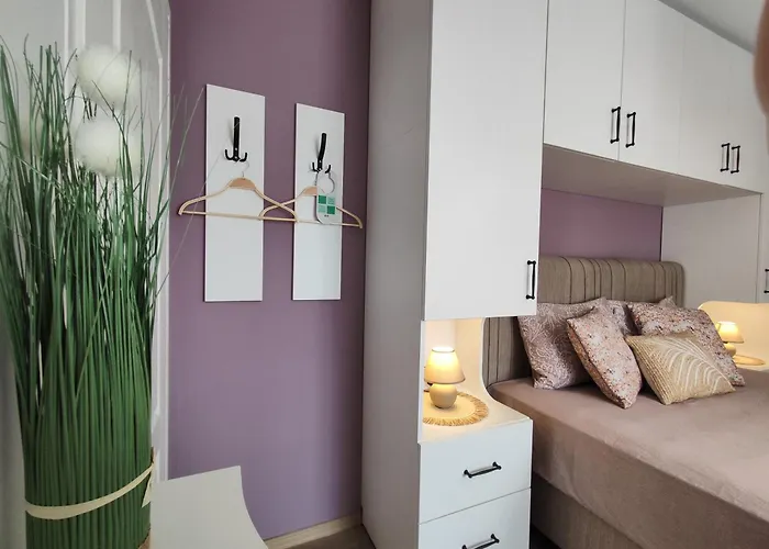 Amore Obzor * 오브조르