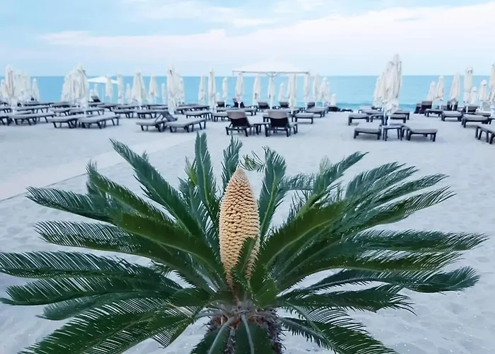 Amore Obzor 오브조르